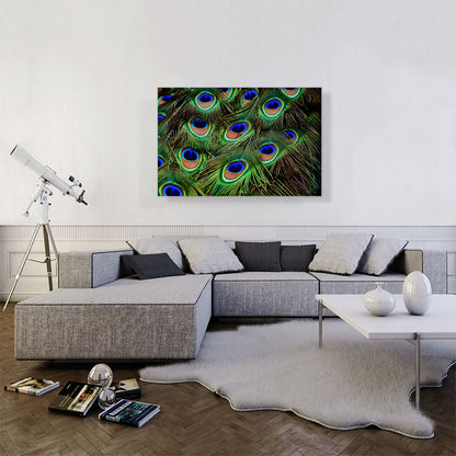 Peacock Feathers Home decor