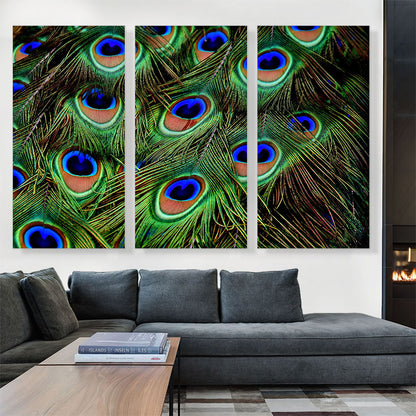 Peacock Feathers Home decor