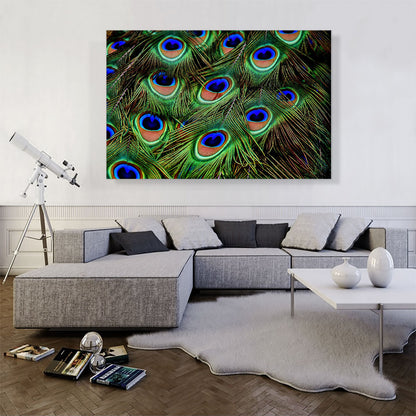 Peacock Feathers Home decor