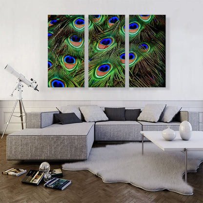 Peacock Feathers Home decor