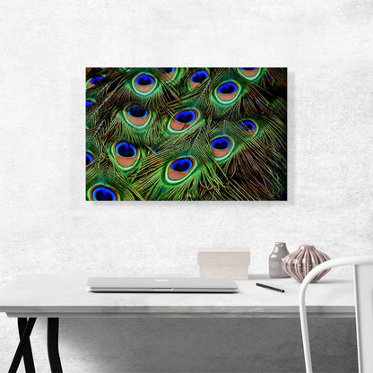 Peacock Feathers Home decor
