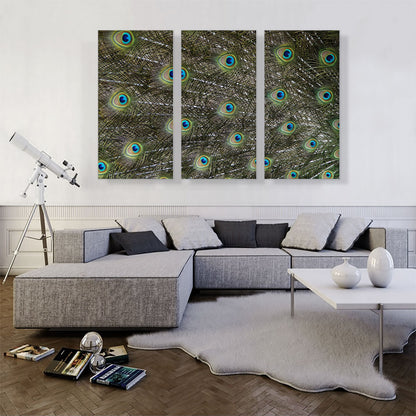 Peafowl Tail Zoo decor
