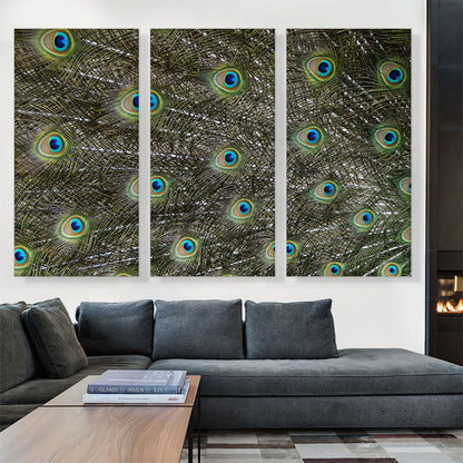 Peafowl Tail Zoo decor