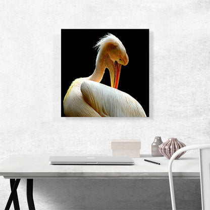 Pelican Home decor