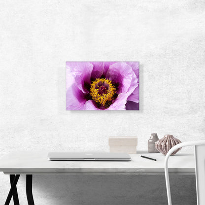 Peony Flower Home Decor Rectangle