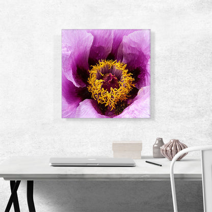 Peony Flower Home Decor Square