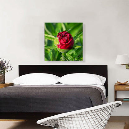 Peony Red Flower Home decor