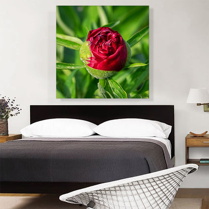Peony Red Flower Home decor
