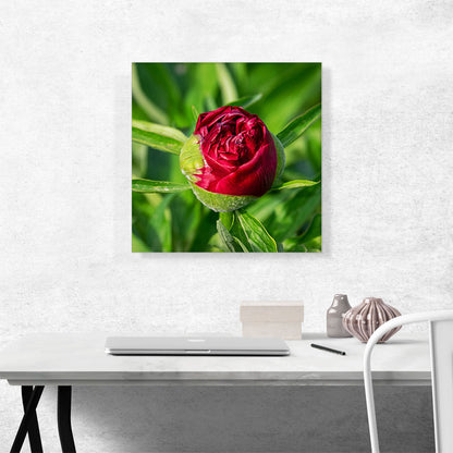 Peony Red Flower Home decor