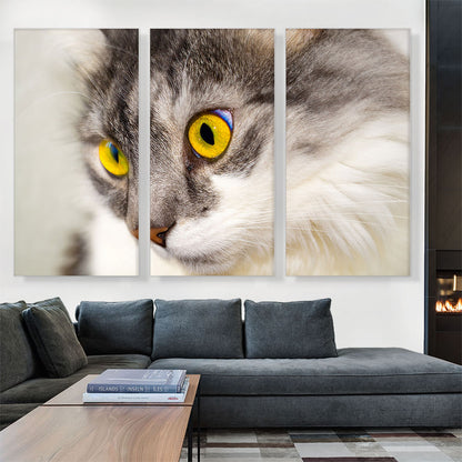 Persian Cat Home decor