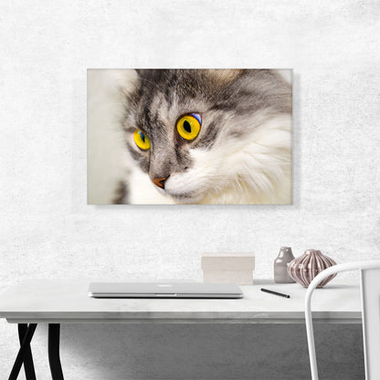 Persian Cat Home decor