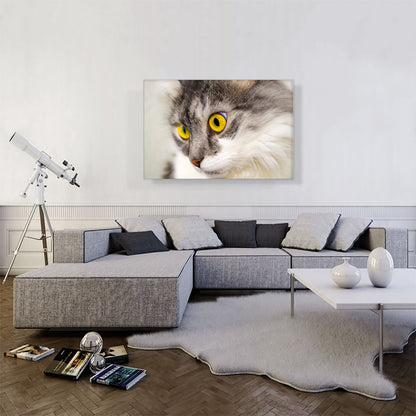 Persian Cat Home decor