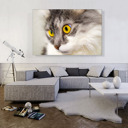 Persian Cat Home decor