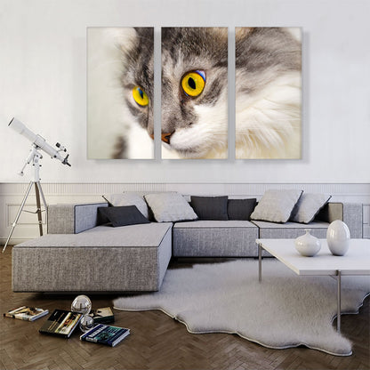 Persian Cat Home decor