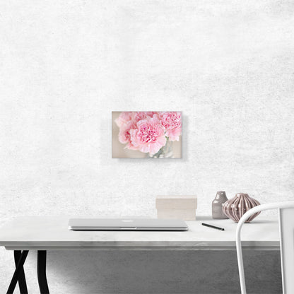 Pink Carnation Home Decor Rectangle