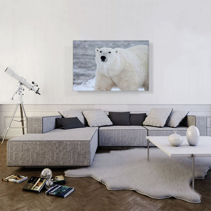 Polar Bear Home decor