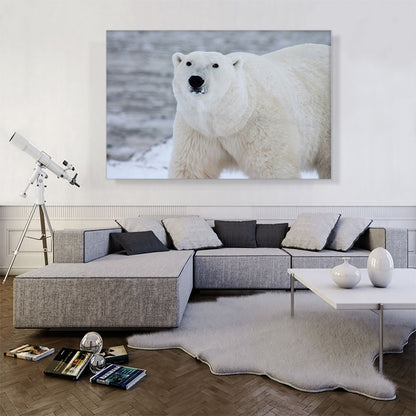 Polar Bear Home decor
