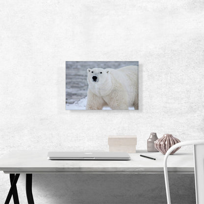 Polar Bear Home decor