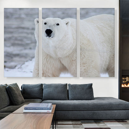 Polar Bear Home decor