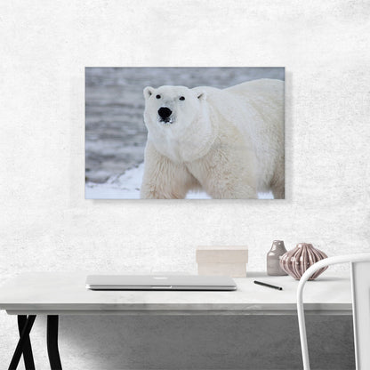 Polar Bear Home decor