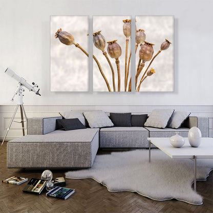 Poppy Plant Home decor