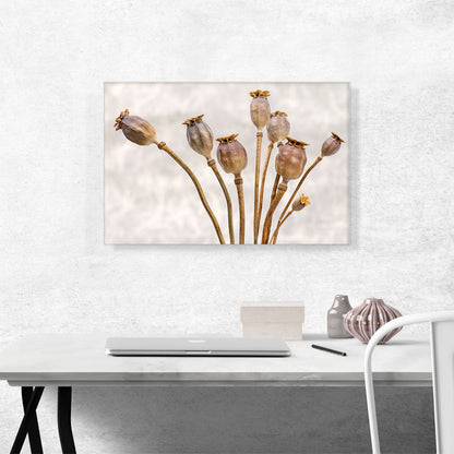 Poppy Plant Home decor