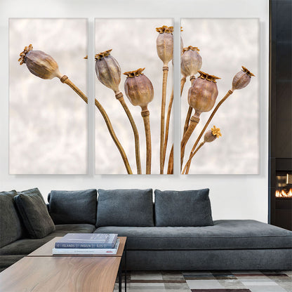 Poppy Plant Home decor
