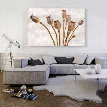 Poppy Plant Home decor