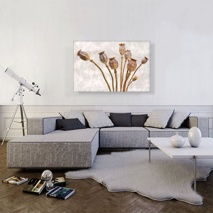 Poppy Plant Home decor