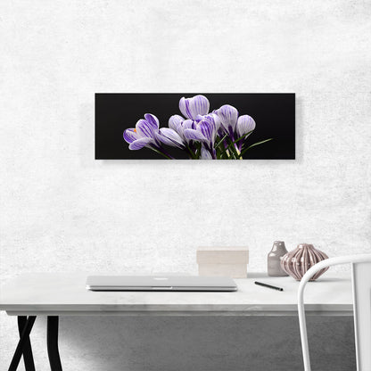 Purple Crocus Home Decor