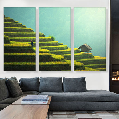 Pyramidal Rice Fields