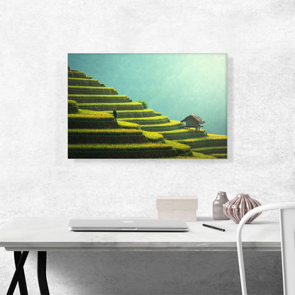 Pyramidal Rice Fields