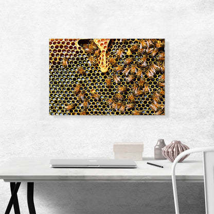 Queen Cup Home decor