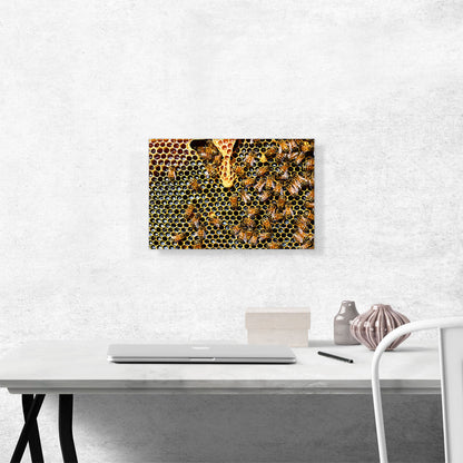 Queen Cup Home decor
