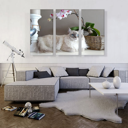 Ragamuffin Home decor