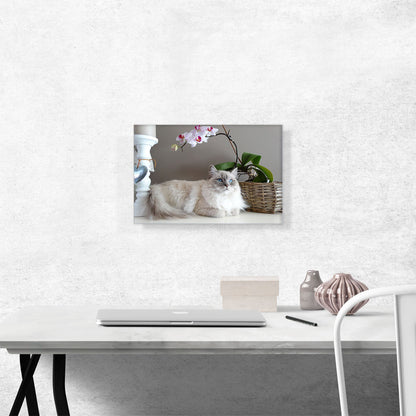 Ragamuffin Home decor