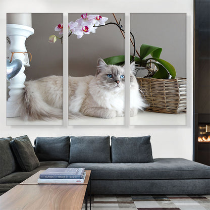 Ragamuffin Home decor