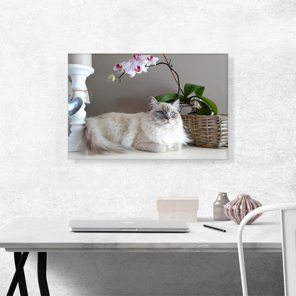 Ragamuffin Home decor