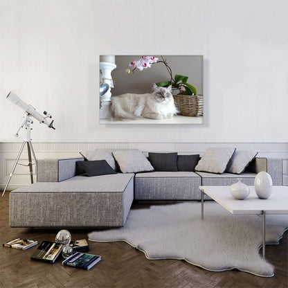 Ragamuffin Home decor