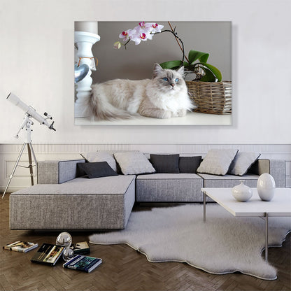 Ragamuffin Home decor