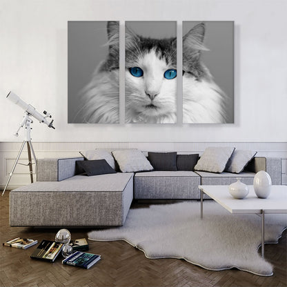 Ragdoll Gray Home decor