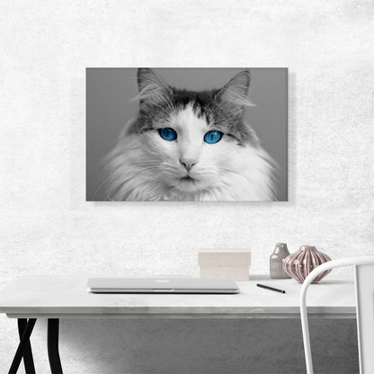 Ragdoll Gray Home decor