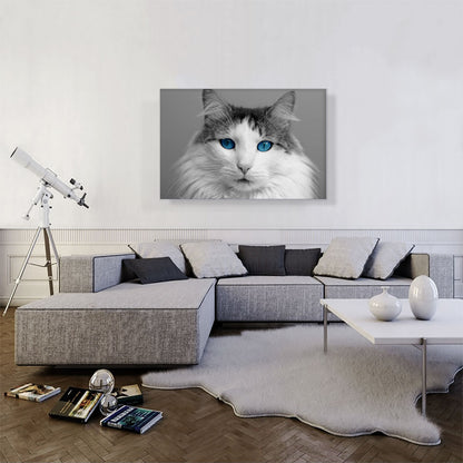 Ragdoll Gray Home decor
