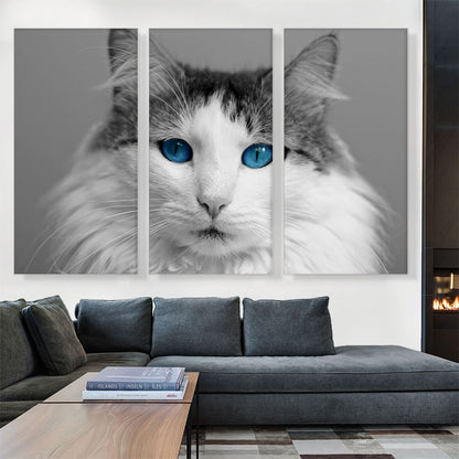 Ragdoll Gray Home decor