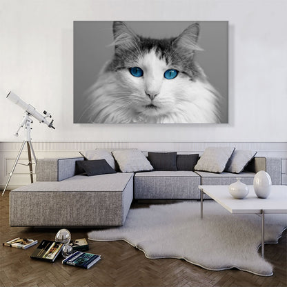 Ragdoll Gray Home decor