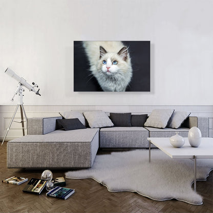 Ragdoll White Blue Eyes Home decor