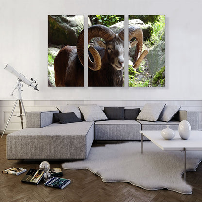 Ram Zoo decor
