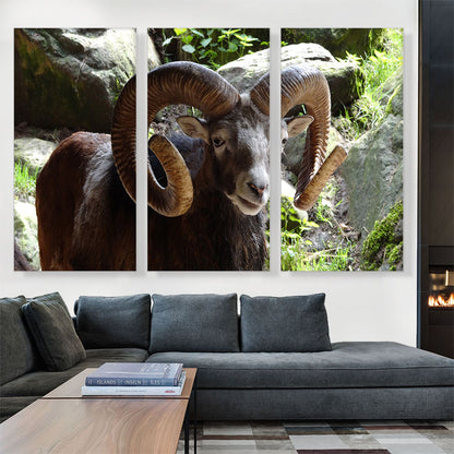 Ram Zoo decor