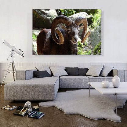 Ram Zoo decor