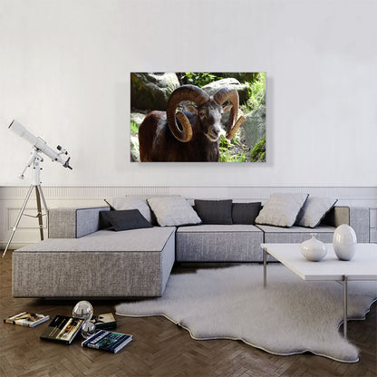Ram Zoo decor